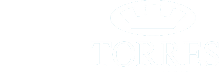 Logo Inmobiliaria Torres